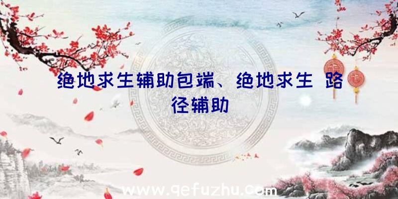 绝地求生辅助包端、绝地求生