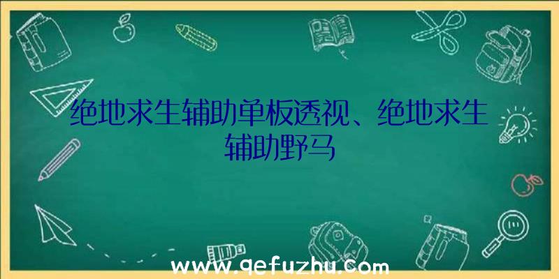 绝地求生辅助单板透视、绝地求生辅助野马