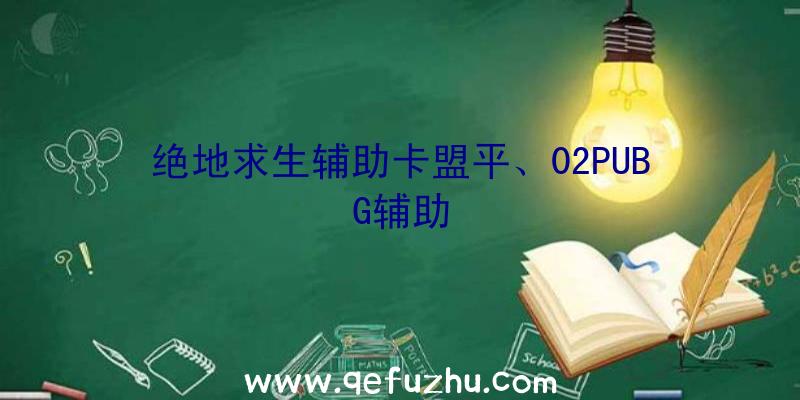 绝地求生辅助卡盟平、02PUBG辅助