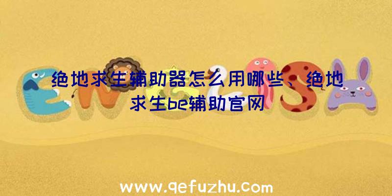绝地求生辅助器怎么用哪些、绝地求生be辅助官网