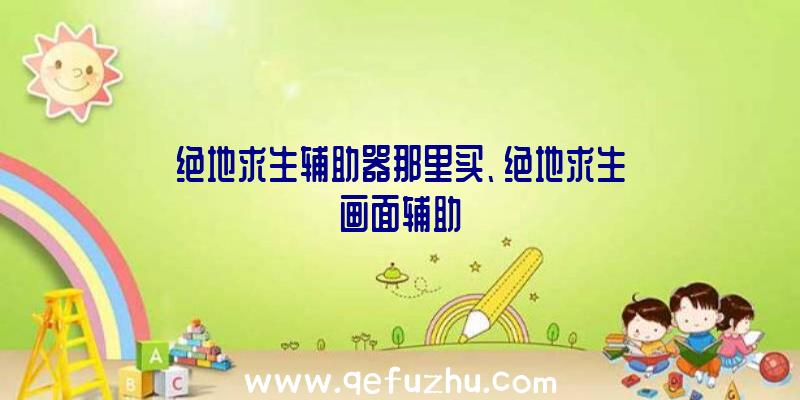 绝地求生辅助器那里买、绝地求生画面辅助
