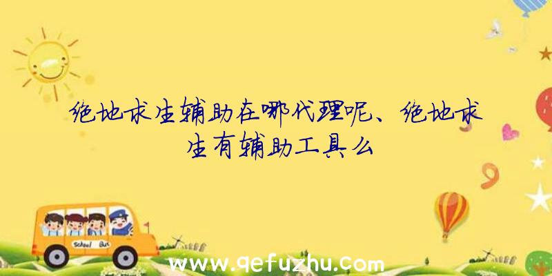 绝地求生辅助在哪代理呢、绝地求生有辅助工具么