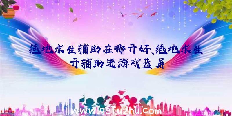 绝地求生辅助在哪开好、绝地求生开辅助进游戏蓝屏
