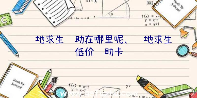 绝地求生辅助在哪里呢、绝地求生低价辅助卡