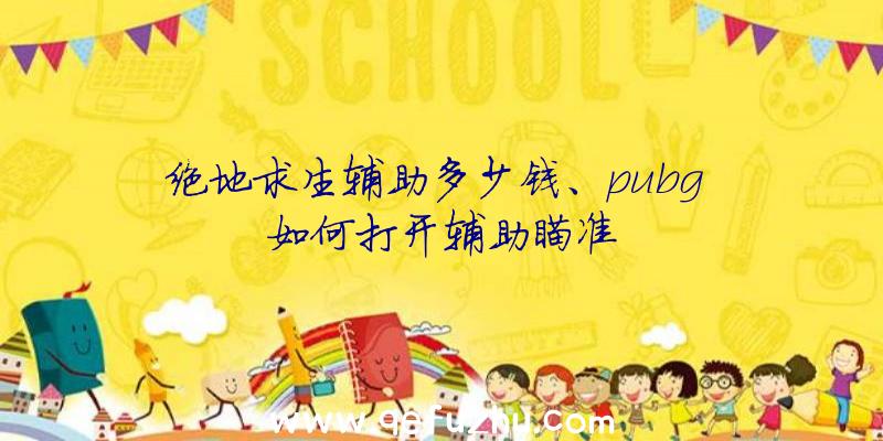 绝地求生辅助多少钱、pubg