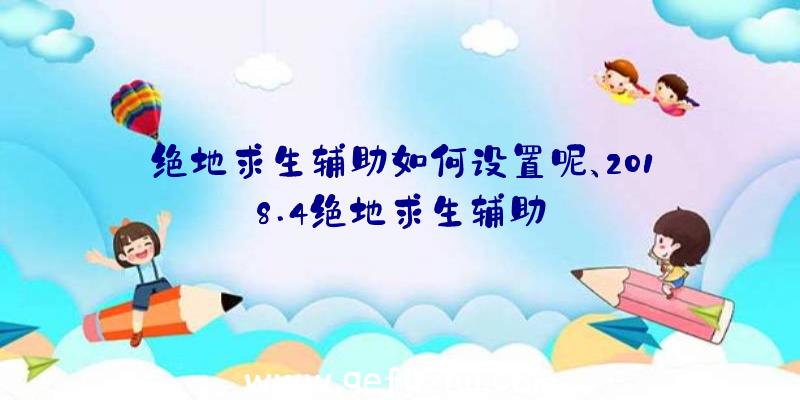 绝地求生辅助如何设置呢、2018.4绝地求生辅助
