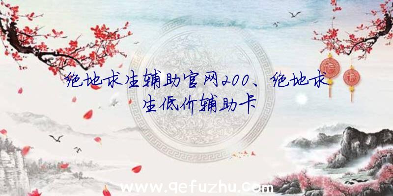 绝地求生辅助官网200、绝地求生低价辅助卡