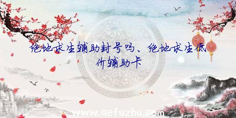 绝地求生辅助封号吗、绝地求生低价辅助卡