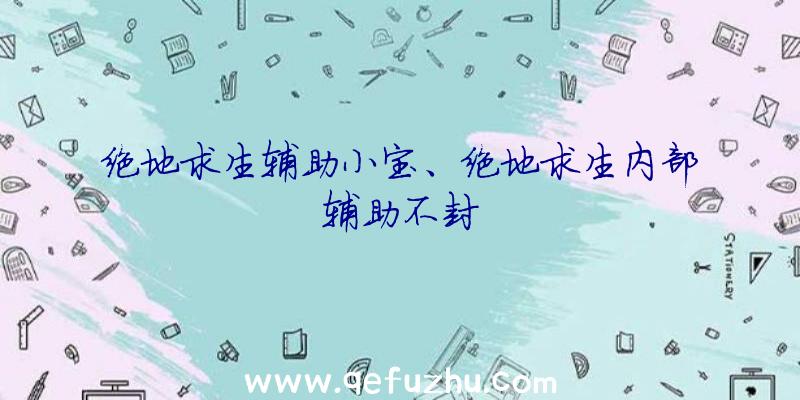 绝地求生辅助小宝、绝地求生内部辅助不封
