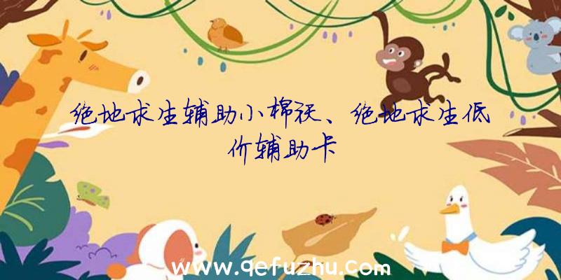 绝地求生辅助小棉袄、绝地求生低价辅助卡