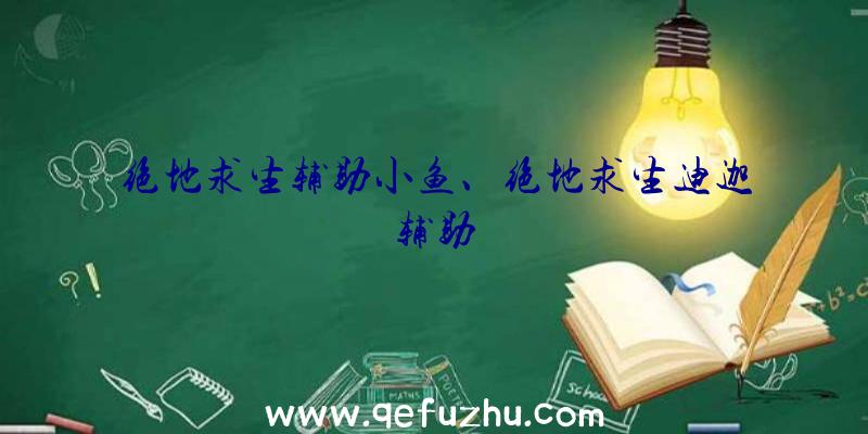 绝地求生辅助小鱼、绝地求生迪迦辅助