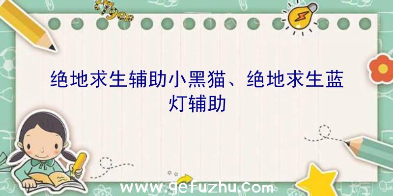 绝地求生辅助小黑猫、绝地求生蓝灯辅助
