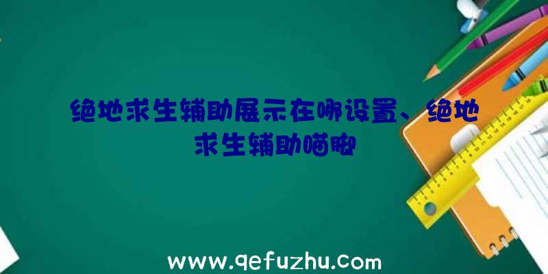 绝地求生辅助展示在哪设置、绝地求生辅助瞄脚