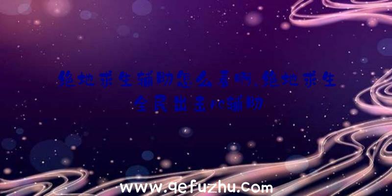 绝地求生辅助怎么看啊、绝地求生全民出击pc辅助