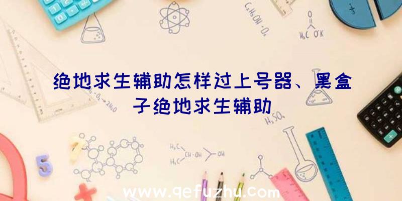 绝地求生辅助怎样过上号器、黑盒子绝地求生辅助