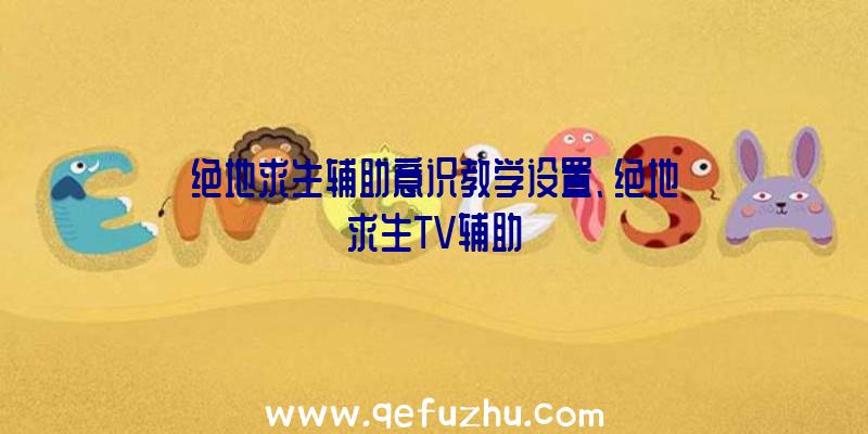 绝地求生辅助意识教学设置、绝地求生TV辅助