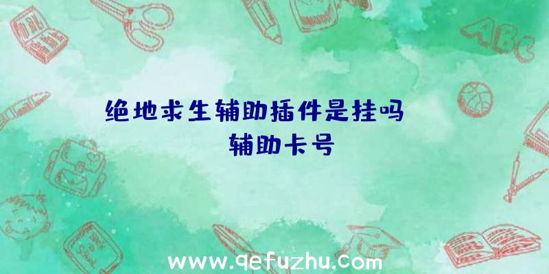 绝地求生辅助插件是挂吗、pubg辅助卡号