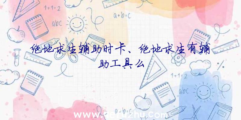 绝地求生辅助时卡、绝地求生有辅助工具么