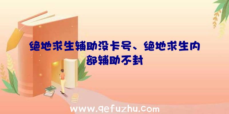 绝地求生辅助没卡号、绝地求生内部辅助不封