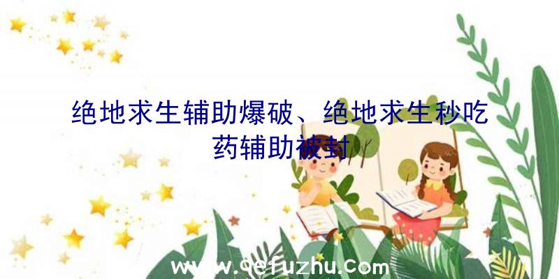绝地求生辅助爆破、绝地求生秒吃药辅助被封