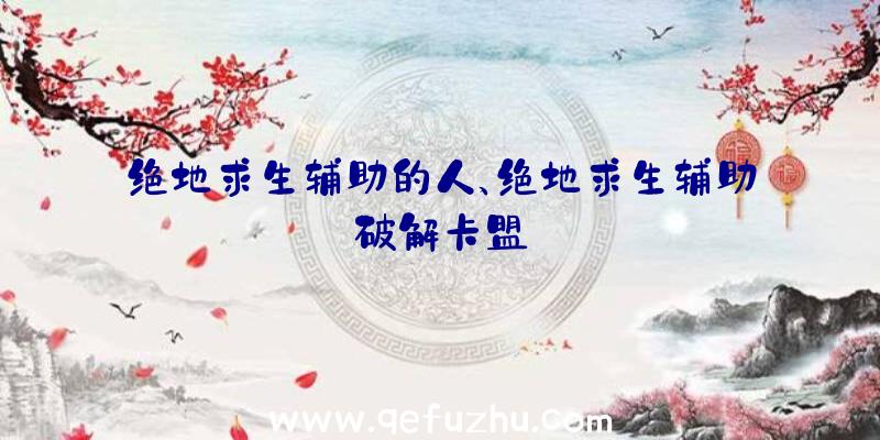 绝地求生辅助的人、绝地求生辅助破解卡盟
