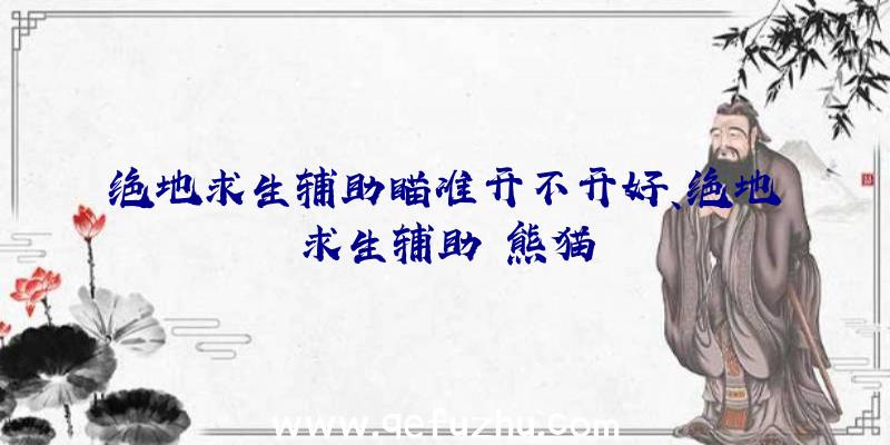 绝地求生辅助瞄准开不开好、绝地求生辅助