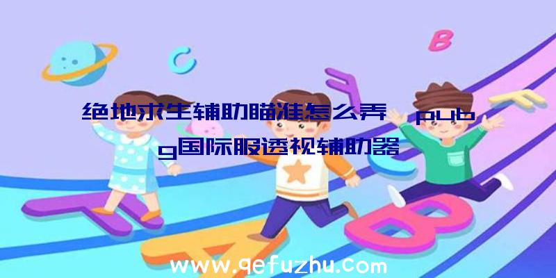 绝地求生辅助瞄准怎么弄、pubg国际服透视辅助器