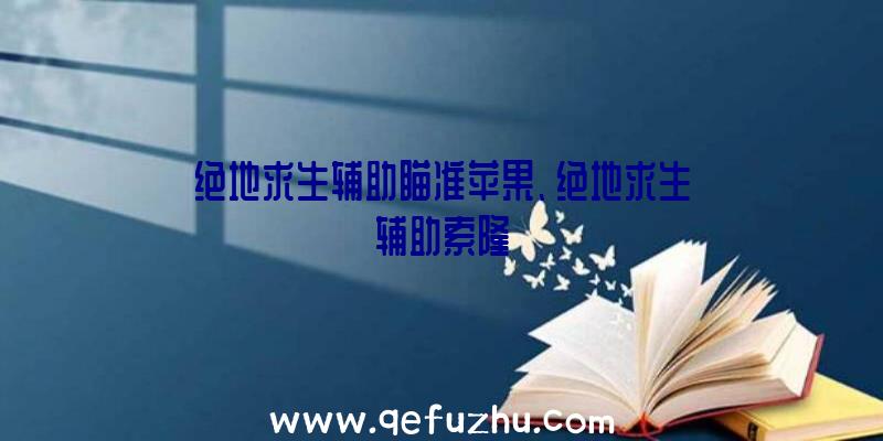 绝地求生辅助瞄准苹果、绝地求生辅助索隆
