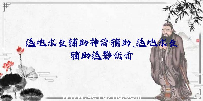 绝地求生辅助神海辅助、绝地求生辅助绝影低价