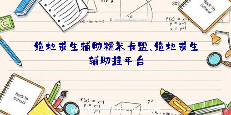 绝地求生辅助糯米卡盟、绝地求生辅助挂平台