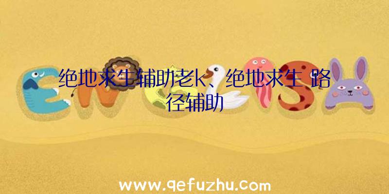 绝地求生辅助老k、绝地求生