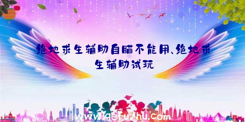 绝地求生辅助自瞄不能用、绝地求生辅助试玩