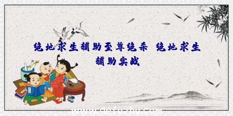 绝地求生辅助至尊绝杀、绝地求生辅助实战