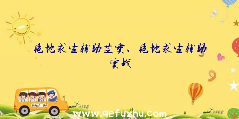绝地求生辅助芝宝、绝地求生辅助实战