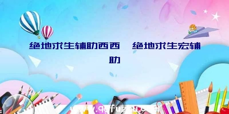 绝地求生辅助西西、绝地求生宏辅助