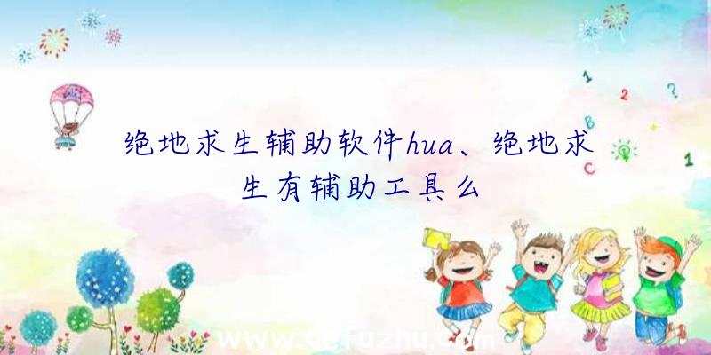 绝地求生辅助软件hua、绝地求生有辅助工具么