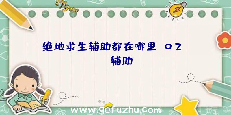 绝地求生辅助都在哪里、02PUBG辅助