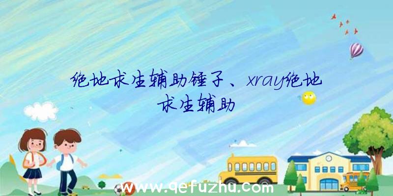 绝地求生辅助锤子、xray绝地求生辅助