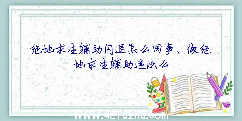 绝地求生辅助闪退怎么回事、做绝地求生辅助违法么