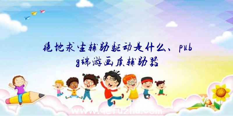 绝地求生辅助驱动是什么、pubg端游画质辅助器