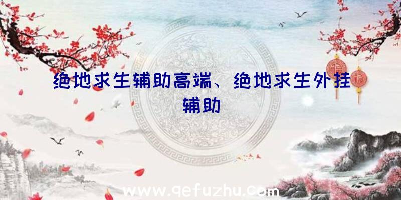 绝地求生辅助高端、绝地求生外挂辅助