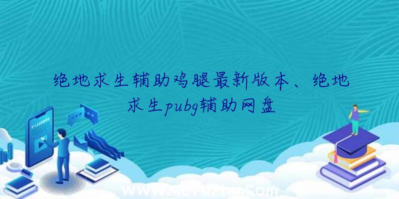 绝地求生辅助鸡腿最新版本、绝地求生pubg辅助网盘
