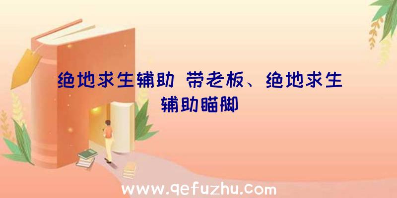 绝地求生辅助