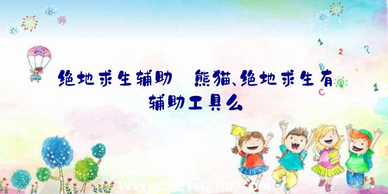 绝地求生辅助