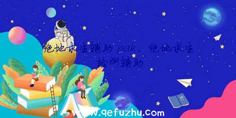 绝地求生辅助