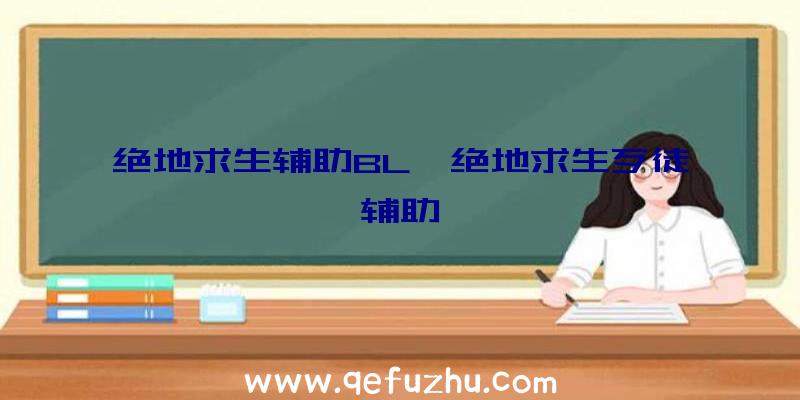 绝地求生辅助BL、绝地求生歹徒辅助