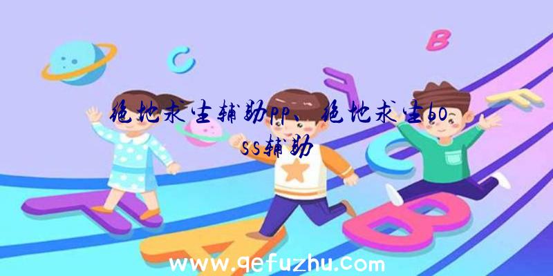 绝地求生辅助pp、绝地求生boss辅助