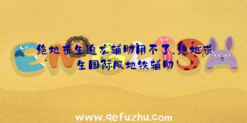 绝地求生追龙辅助用不了、绝地求生国际服地铁辅助
