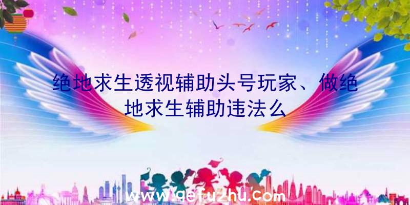 绝地求生透视辅助头号玩家、做绝地求生辅助违法么