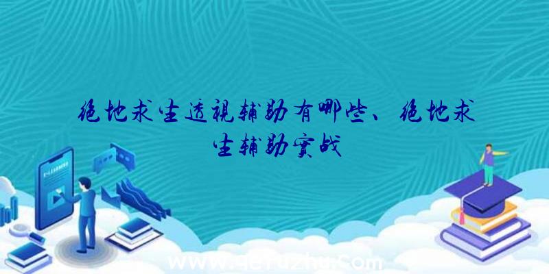 绝地求生透视辅助有哪些、绝地求生辅助实战